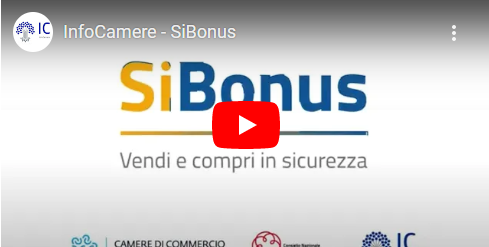 sibonus-video-infocamere